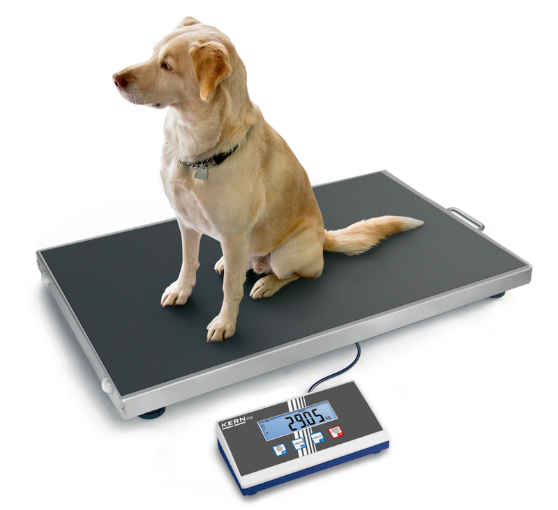 KERN EOS 300K100XL veterinary scale 300kg