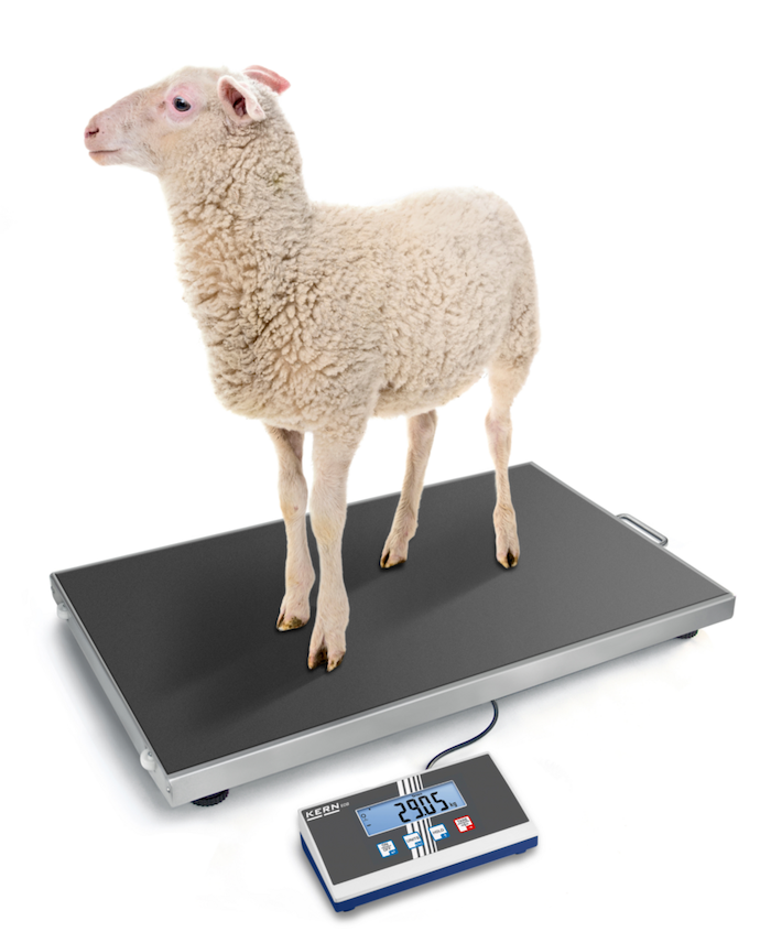KERN EOS 300K100XL veterinary scale 300kg