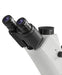 Binocular eyepieces of inverted microscope