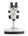 Stereo Zoom Microscope under view